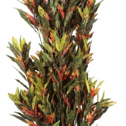 fourwalls Polyester Della Multicolor Croton Without Pot Artificial Plant image 4