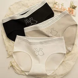 saffiraa Pack of 3 Women Hipster Multicolor Panty-picture-15