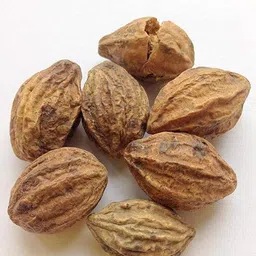 deys agro badi harad seeds,kadukai Seed image 2