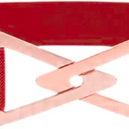 redhorns Women Casual, Evening, Formal, Party Red Fabric Belt-picture-39