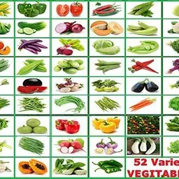 greenery hub 52 Varieties Vegetable Seeds Combo Pack Perfect for Home Gardening Seed-picture-12