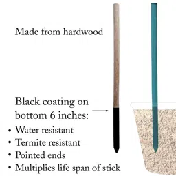 haryanawood 60 cm Wooden Garden Stake image 3