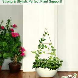 ecofynd Gold Triangle Planter Stand For Climbing Plants image 4
