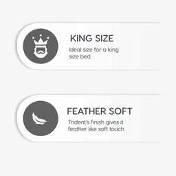 MYTRIDENT White & Brown Cotton Double King Bedsheet With Comforter & 2 Pillow Covers image 2