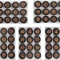 dravya 60 SHREE EXIM LOBAN DHOOP Loban, Sambrani, Guggul, Cow Dung-picture-48