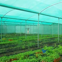sangam agro 50% Shade ! 50mts * 3mts ! UV Stablized ! Always Preferred construction sights ! Longlasting ! Highly Affordable and Trusted ! Portable Green House-picture-10