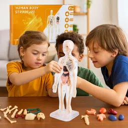 aordey DIY Stem Educational Science Project Model for Kids image 3