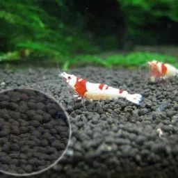 bunnycart Aqua Soil Planted Substrate-picture-16