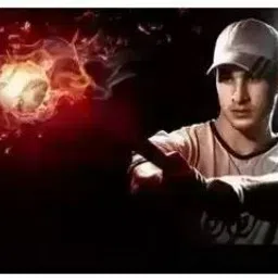 rajshree enterprises meerut rajshree enterprises 6--24 silver xs69 Heavy Duty Natural Wood Baseball Willow Baseball Bat For 15+ Yrs image 2