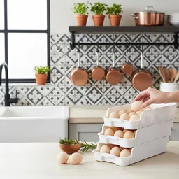 Egg container Egg Holder-image-72