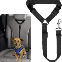 blurism Pet Dog Cat Seat Belts Pet Seat Belt-picture-22