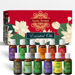 exotic aromas Essential Oil Pack of12 Lavender Rose Rosemary Orange Jasmine TeaTree Eucalyptus-picture-11