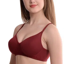 bilqis Pack of 3 Women Full Coverage Non Padded Bra image 4