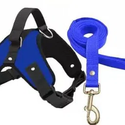 Dog Harness With Strong Holder to Lift with Chokefree Comfort Dog & Cat Harness & Leash-image-5