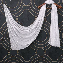 sarvagun Chiffon Self Design, Floral Print White, Silver Women Dupatta image 4