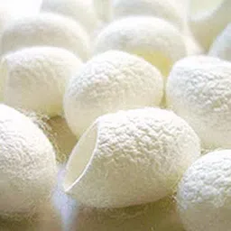 Cocoons - Natural White Silkworm Cocoons for Exfoliating and Cleansing - White - 10 Pieces Makeup Remover-image-12