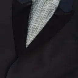 louis philippe Men Single Breasted - 2 button Solid Suit image 4