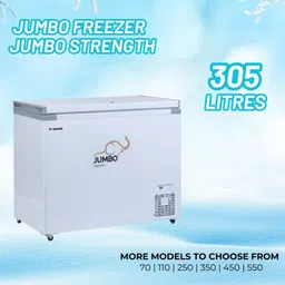 rockwell 300 L Single Door Standard Deep Freezer image 2