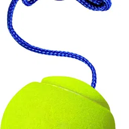 Cricket Tennis Hanging Practice ball Heavy for Indoor/Outdoor Knocking Cricket Tennis Ball-image-2