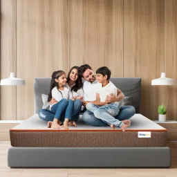 sleepmax Comfortino 6 Inch Rebonded Foam Mattress In Single Size (With 1 Free Pillow) image 4