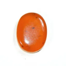 hoseki Amber Natural Baltic AAA+ 46.7ct stone Regular Oval Crystal Stone-picture-18