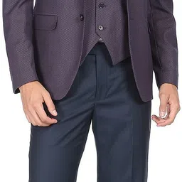 arrow Men Men Purple Body Tailored Regular Fit Three Piece Suit Self Design Suit-picture-22