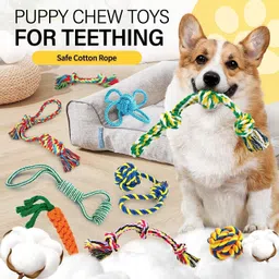 petzluv YOUHAVEDEAL Dog Toys, Rope Toys for Puppies & Medium Breed Dogs, Teething Toys Cotton Ball, Chew Toy, Tug Toy For Dog image 4