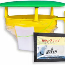 green revolution Funnel Trap With Spodo O Lure (Spodoptera litura pheromone lure) image 2