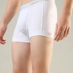 park avenue Solid Men Trunk image 3