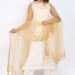 Net Embellished Gold Women Dupatta-image-14