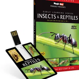 inkmeo Movie Card - Insects and Reptiles - Learn about more than 20 different Insects & Reptiles - 8GB USB Memory Stick - High Definition(HD) MP4 Video-picture-17