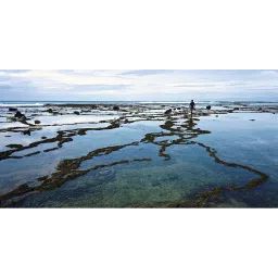 Carl Zeiss T* 55mm Camera Lens UV Filter (Anti Reflective Coating) image 3