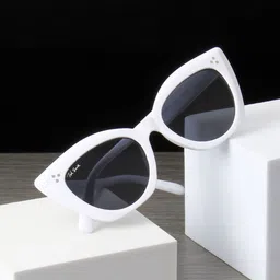 ted smith UV Protection Cat-eye Sunglasses (51)-picture-15