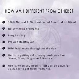 the old natural Mystery Car Freshener Diffuser image 5