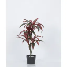 arick decor 2.4Ft Artificial Dracaena With Black Pot Natural Leaves Pre-Potted image 2
