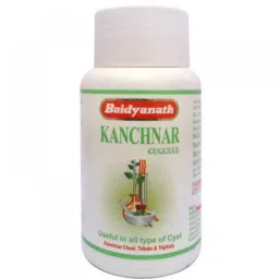 Baidyanath Jhansi Kanchnar Guggulu, 80 Tablets-image-11