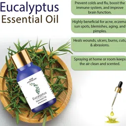 sage apothecary Eucalyptus Essential Oil │100% Pure image 3