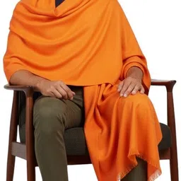 Vrinde Pashmina Self Design Men Shawl image 2