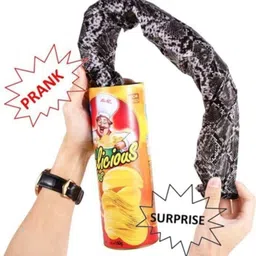 taka saki fake potato chips prank chips box snake in a can surprise joke funny toy Gag Toy-picture-33