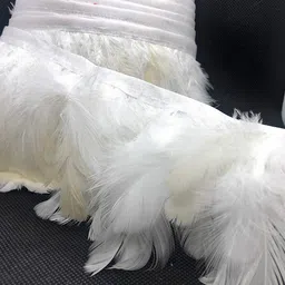 uniqon CWG0199-002 (8cm X 3 Mtr) White Wings Feather Fur Gota For Saree, Gowns, Lehenga Designing Lace Reel image 1