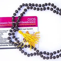 apnisanskriti Black Rudraksha Mala (4 mm, Rarest Size, Neck Length,108+1 Beads, Lab Certified) Wood Chain-picture-12