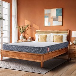 Duroflex LiveIn Bounce Pocket Spring HR Foam 6" Single Mattress Medium Soft (72x36 Inch)-picture-46