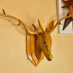 The Big wise head Brown Solid Wood Showpiece-image-50