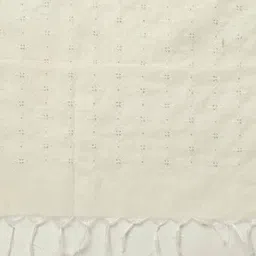 avaasa mix n' match Women Embroidered Dupatta image 2