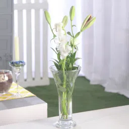 Transparent Celebration Glass Vase-image-62