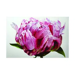 Inephos Pink & Green Floral and Botanical Flower Canvas Wall Art-image-66