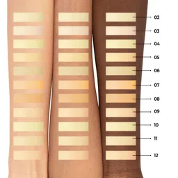 PAC Feather Soft Natural Finish Translucent Powder 10g - Shade 06 image 5