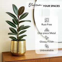 Ekhasa Nostrae Metal Textured Planter for Indoor Plants image 5