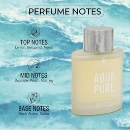 C CORAL PERFUMES Men Aqua Pure Long Lasting Eau de Toilette - 100 ml image 3