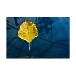 Inephos Blue And Yellow Abstract Printed Paper Wall Art-image-39